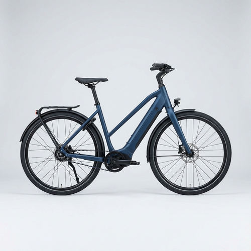 Bulls Lacuba Evo E8 City E-Bike