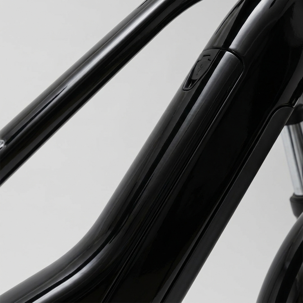 Bulls Lacuba Evo E8 – Akku Detail